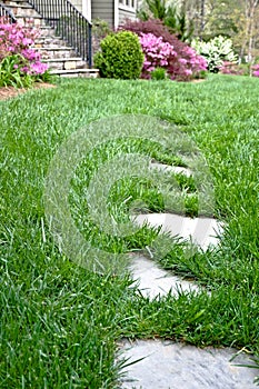 Stepping Stones in the Grass