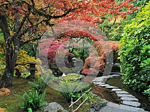 Stepping stones in the Japanese Garden