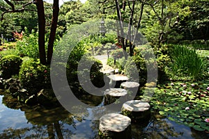 Stepping stones in japanese garden