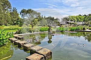 Stepping stones in Logan Botanic Gardens photo