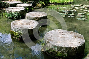 Stepping stones on a lotus pond photo