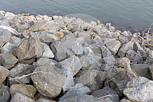 Stepping stones over river in worms - Germany