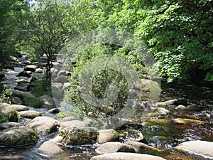 Stepping stones on the river dart on dartmoor