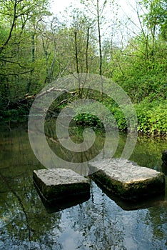 Stepping stones at Roche Abbey