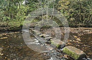 Stepping stones to local park at side of canal path at Uppermill