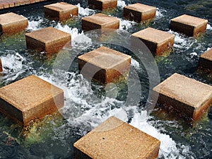 Stepping Stones in Water