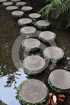 Steppingstones to cross the water