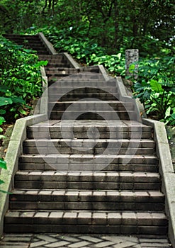 Steps photo