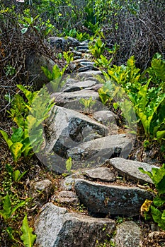 Steps accessing village of Kogi people, indigenous