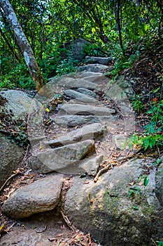 Steps accessing village of Kogi people, indigenous photo