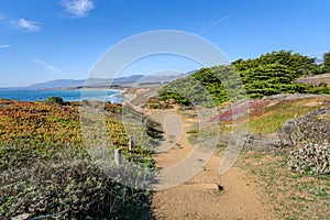 Steps along an empty coastal path coast of California