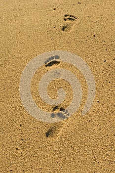 Steps on the beach