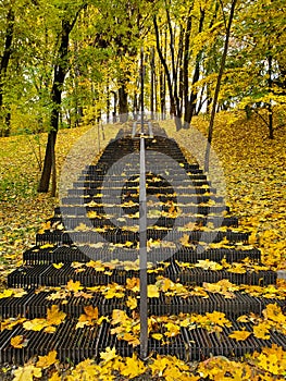 Steps covered with yellow leaves, beautiful autumn in the park, the road up ahead