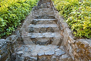 Steps in eastern garden