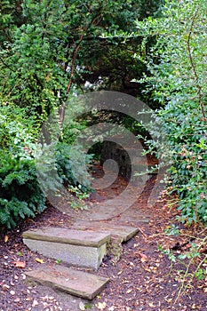 Steps into Foreboding Garden