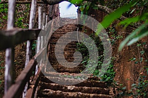 Steps in a forest leading up next to a rock wall