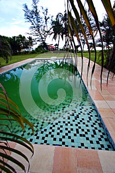 Steps into green swimming pool