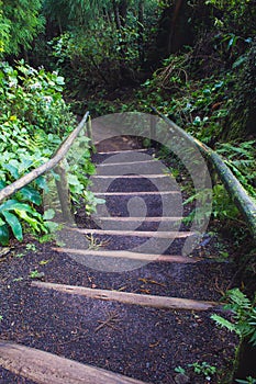 Steps leading to Lagoa Do Canario on the island of Sao Miguel, Azores, Portugal