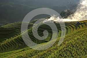 The steps of the most beautiful and emblematic mu cang chai photo