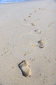 Steps in the sand