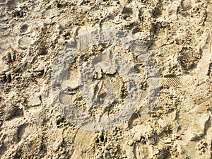 Steps in the sand