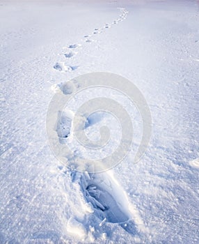 Steps on snow