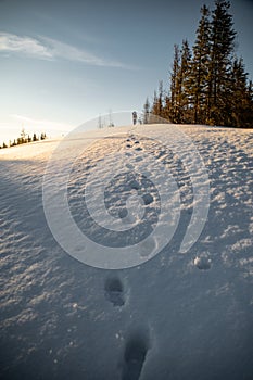 Steps on snow. Winter mountain range in Carpathian Mountain, Ukraine