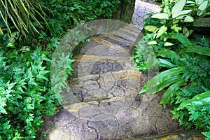 Steps or staircase in the garden. Concept for journey or steps to success