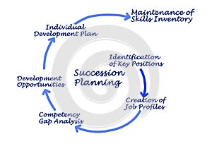 Steps in Succession Planning