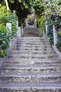 Steps To Coit Tower 2