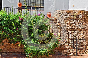 Steps to white houses of Mijas town