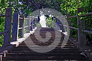 Steps Up Way Concrete Tropical Park Background