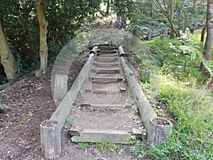 Steps in the woods