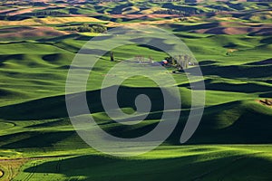 Steptoe Butte