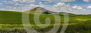 Steptoe Butte State Park