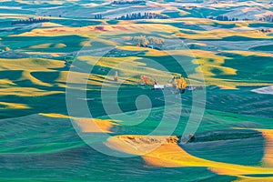 Sunset view of wheat farms in the rolling Palouse hills