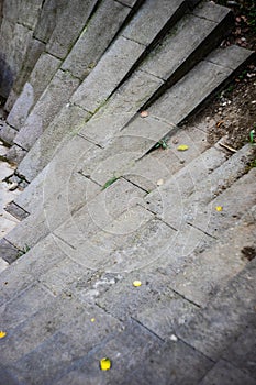 Stepway in the park zone