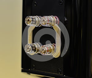 Stereo connectors on the amplifier for display