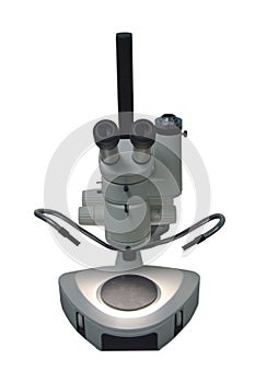 Stereomicroscope photo