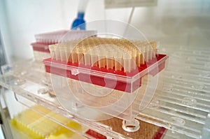 Sterile disposable caps for PCR. consumables for polymerase chain reaction