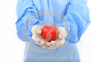 Sterile doctor holding heart