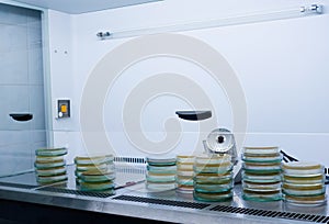 Sterile microbiological cabinet with petri dishes inside.