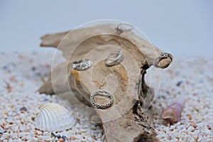 Sterling Silver rings displayed on a piece of driftwood