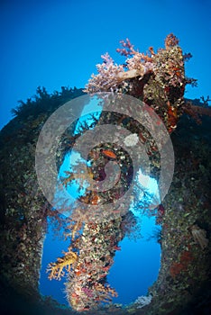 Stern and propeller of the Dunraven shipwreck.