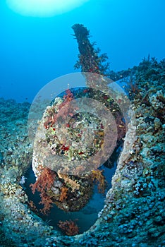 Stern and propellor of shipwreck.