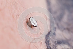 Sternum, cleavage, microdermal, surface piercing on collarbones.