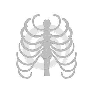 Sternum icon vector sign and symbol isolated on white background photo