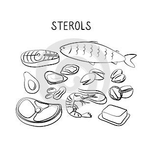Sterols-containing food. Groups of healthy products containing vitamins and minerals. Set of fruits, vegetables, meats