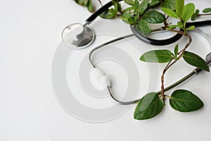 Stethoscope with green leaves tree on white wood background