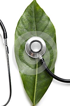 Stethoscope on a leaf photo